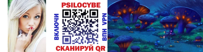 Купить закладки  Ардатов  Псилоцибиновые грибы Cubensis 